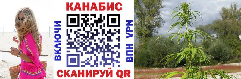закладки  Новомичуринск  Каннабис ГИДРОПОН 