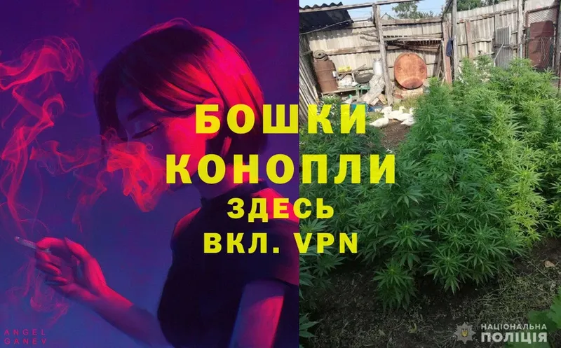 Каннабис Bruce Banner  Новомичуринск 